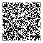 Vinyl Records QR Card