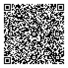 Blue Sky Tech QR Card