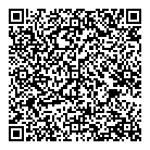 Punch Tools Inc QR Card