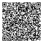 Solinsky Consulting Inc QR Card