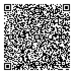 Paramount Financial Services QR Card