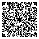 Professionail QR Card