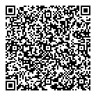 Viva Auto Sales QR Card