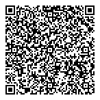 Bddm Financial Consultants Inc QR Card