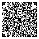 Vvss Consulting Ltd QR Card