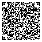 Blue Pine Enterprises Ltd QR Card