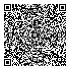 Dc Solutions QR Card