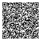 Aararat Consulting QR Card