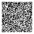 Satish Accounting Services Ltd QR Card