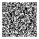 G N Insurance Ltd QR Card