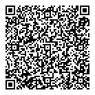 Professional Look QR Card