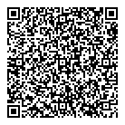 P3 Holdings Inc QR Card