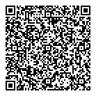 A Star Payments QR Card