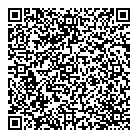 Diesel Fuel Injection QR Card