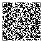 Bc Northern Lights QR Card