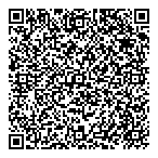 Los Andes Copper Ltd QR Card