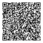 Alarm Max Security QR Card