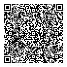 Api Alarm Inc QR Card