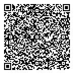 Pan Andean Minerals Ltd QR Card