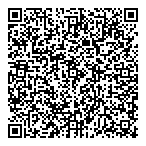 X L Insurance Co Ltd QR Card