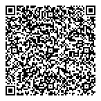 Diamond Fields Resources Inc QR Card