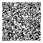 Aero Polaris Consulting Ltd QR Card