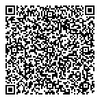 Blue Stone Consulting Inc QR Card