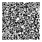 Photo-Blimp Aerial Photography QR Card