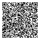 Mc Aleer D J Md QR Card