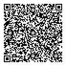 African Enterprise QR Card