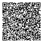 Bdturbocharger.net QR Card