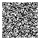 Dr P Pessinis QR Card