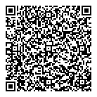 All In Limousines QR Card