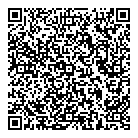 Busy Boys Electrical QR Card