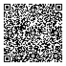 Msa Ford Sales QR Card