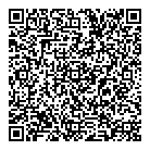 D M Motor Cars Ltd QR Card