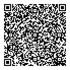 Broadpeak Consulting QR Card