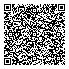 Druve Auto QR Card