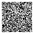 Ctam Consulting QR Card