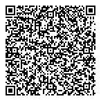 Data Smart Business Solutions QR Card