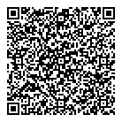 E V Factor Inc QR Card