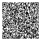 Paradigm Ventures Inc QR Card