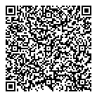 Dick Irwin Group Ltd QR Card