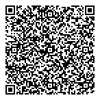 Dana Lee Consulting Ltd QR Card