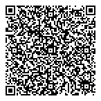 Financial Strageties Inc QR Card