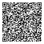 Dilas International Customs QR Card