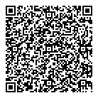 Dmz Electrical Services QR Card