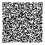 Densan Consultants Ltd QR Card