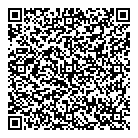 V Steel Works Ltd QR Card