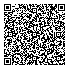 European Commission QR Card